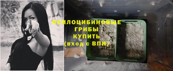 apvp Белокуриха