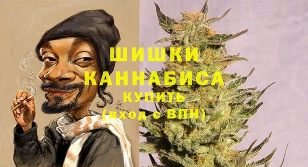 ГАЛЛЮЦИНОГЕННЫЕ ГРИБЫ Балахна