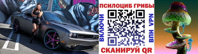 Псилоцибиновые грибы Psilocybine cubensis  продажа наркотиков  Краснокаменск 